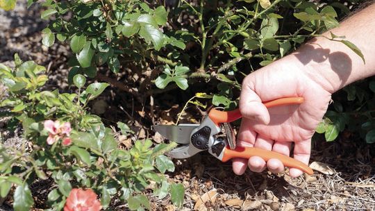 Checklist offers ideas to prepare for autumn