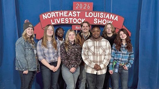 DCS FFA members earn top honors at livestock show