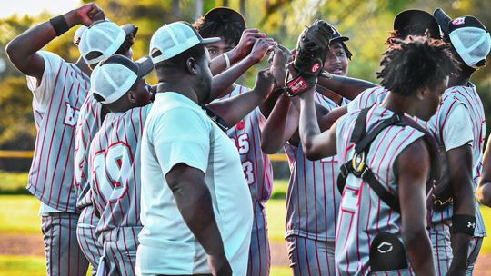 Delhi Bears celebrate a season of heart, growth and triumphant return to diamond