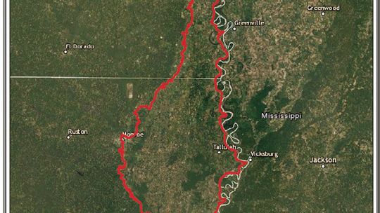 Grant program offers incentives for bottomland forest