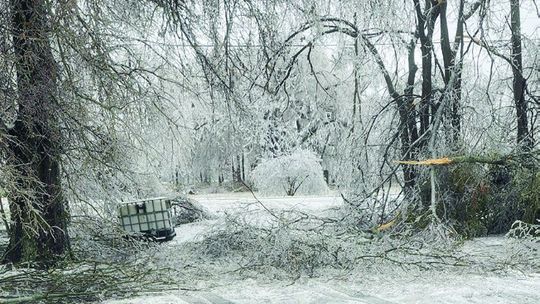 Ice storm leaves memories in its wake