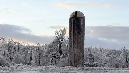 Richland residents find beauty in Winter Storm Fern