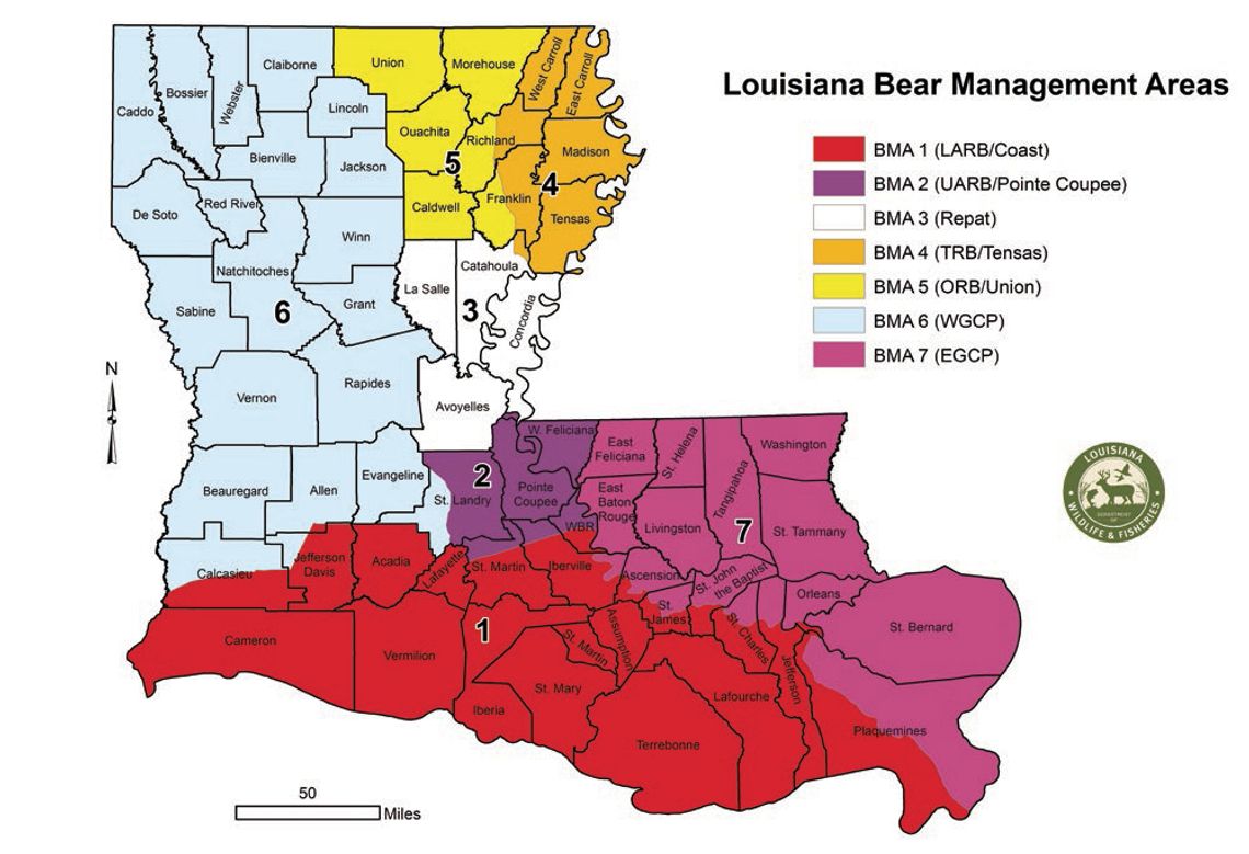 Bear hunt lottery will begin on July 28