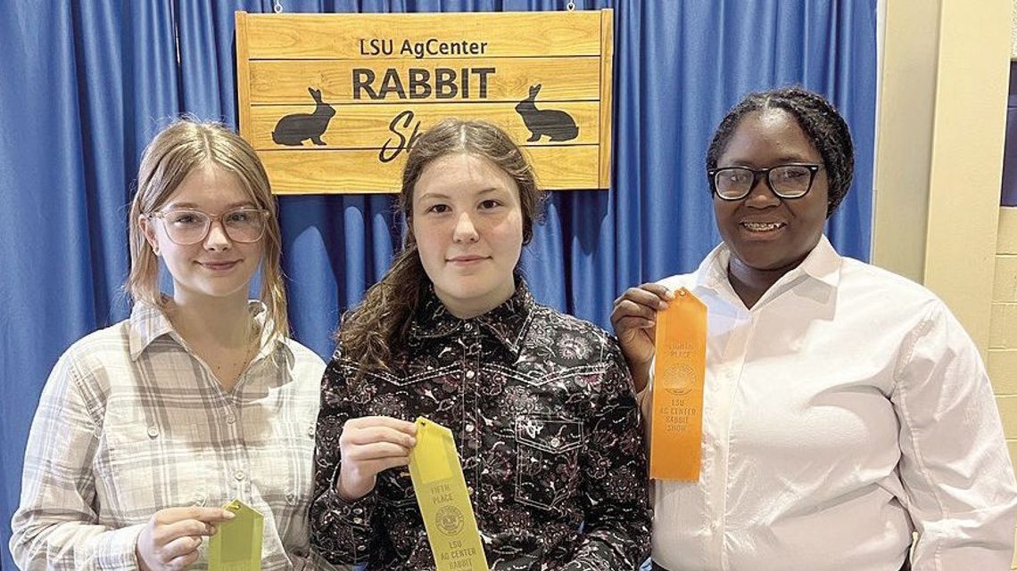 DCS state rabbit show winners