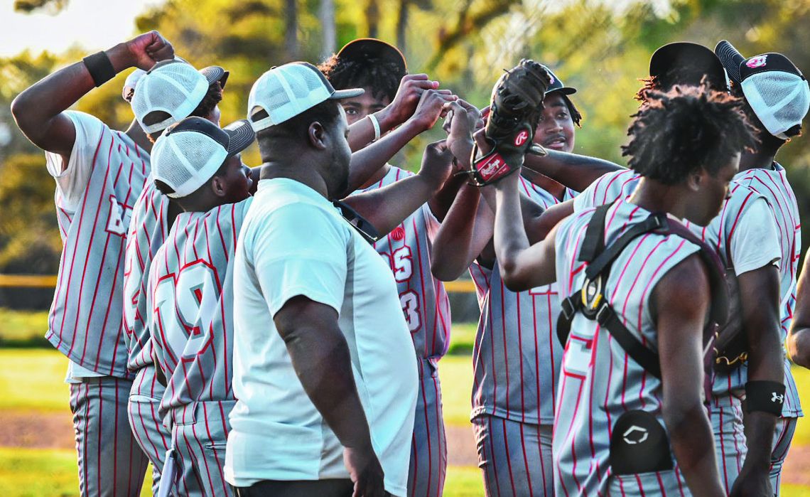 Delhi Bears celebrate a season of heart, growth and triumphant return to diamond