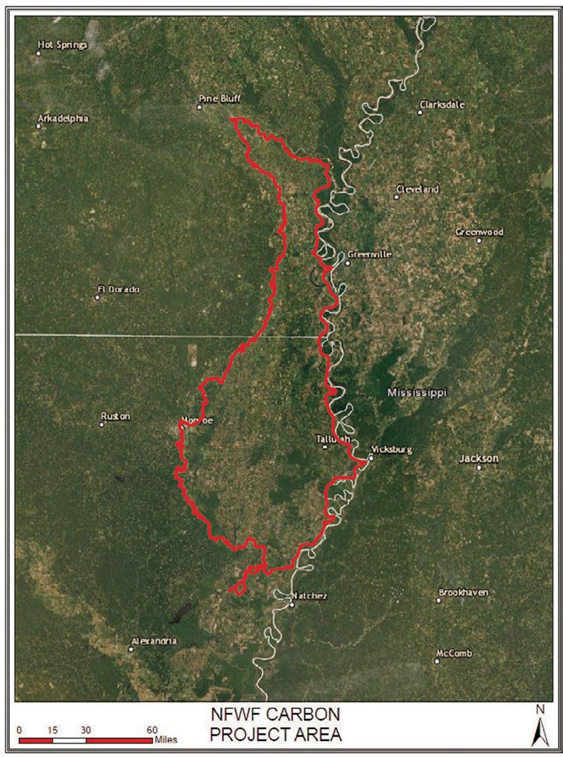 Grant program offers incentives for bottomland forest