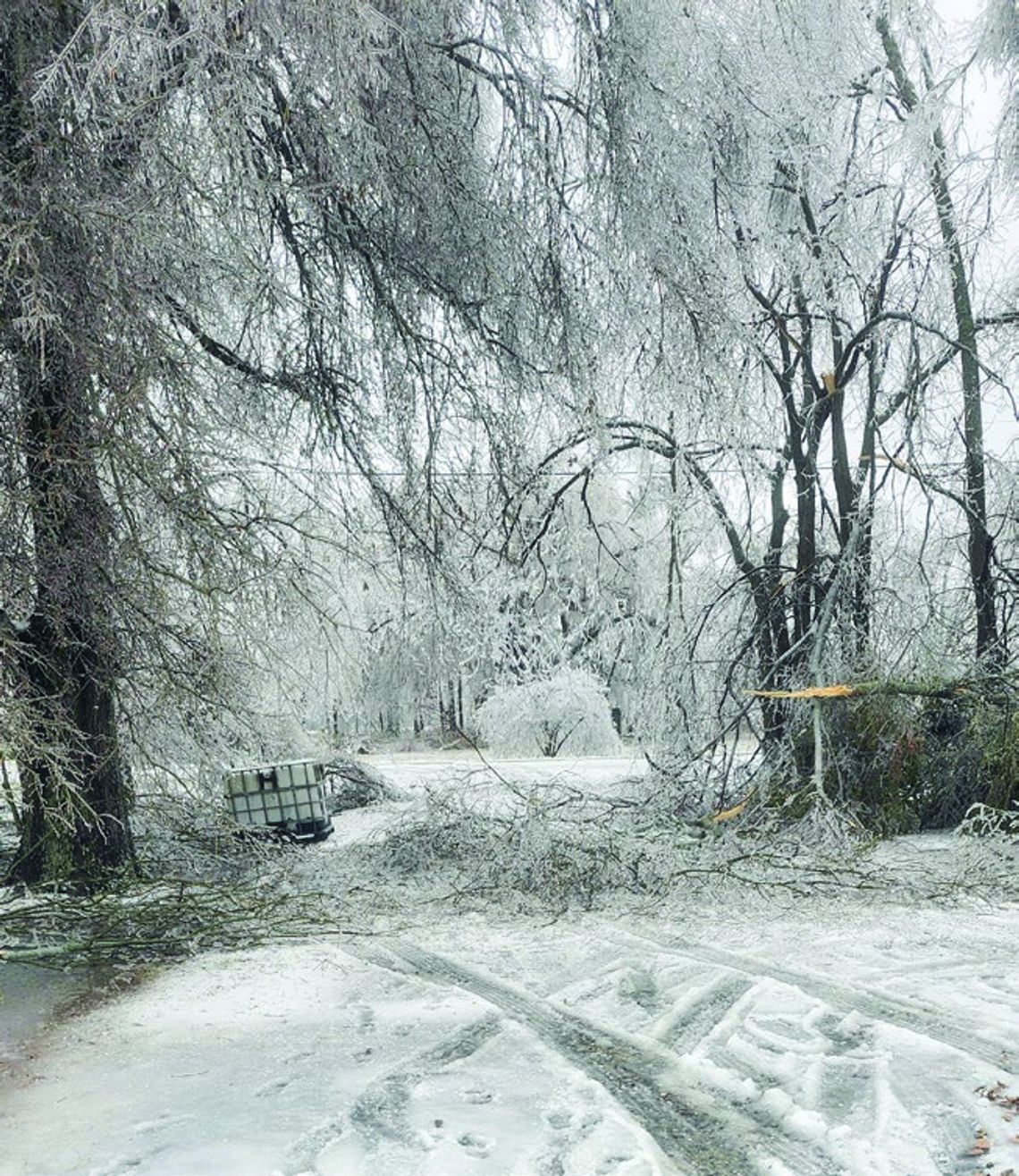 Ice storm leaves memories in its wake