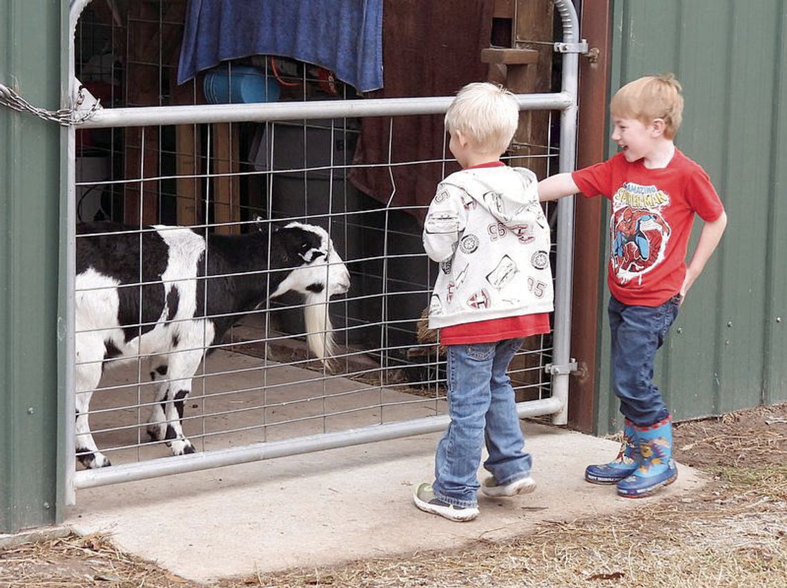 Mangham PreK-4 visits Curry Farms
