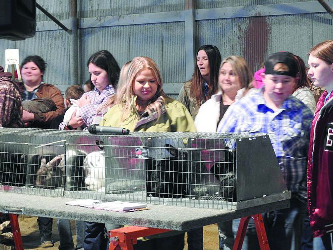 Northeast Louisiana Livestock show winners