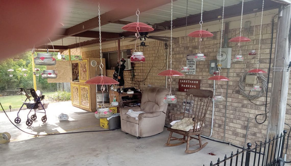 Richland man strives to save hummingbirds