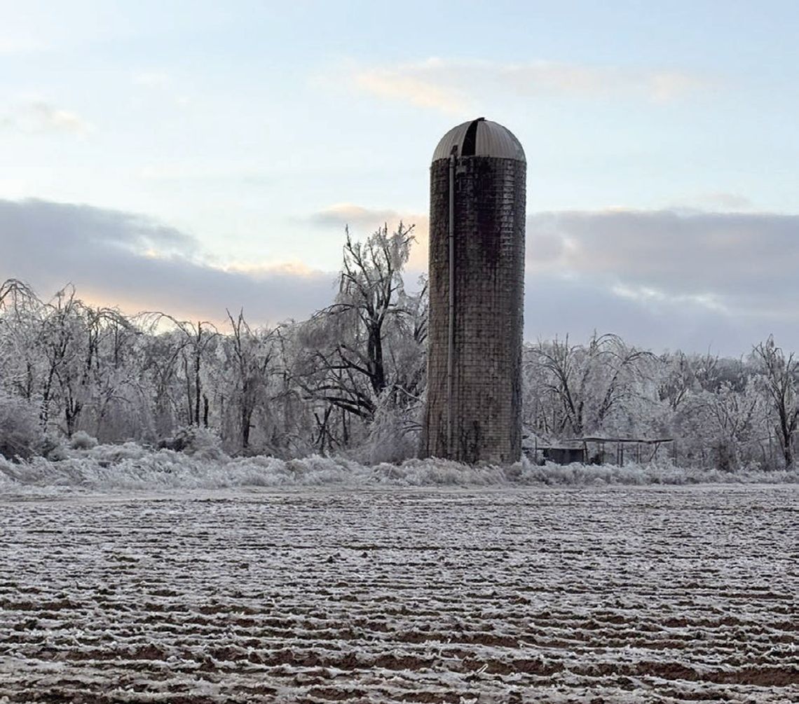Richland residents find beauty in Winter Storm Fern