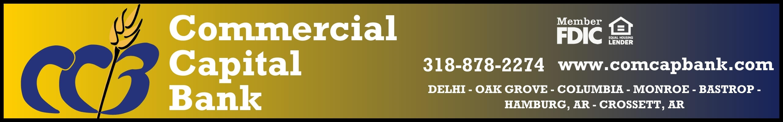 Commercial Capital Bank Mobile Leaderboard (1-year)